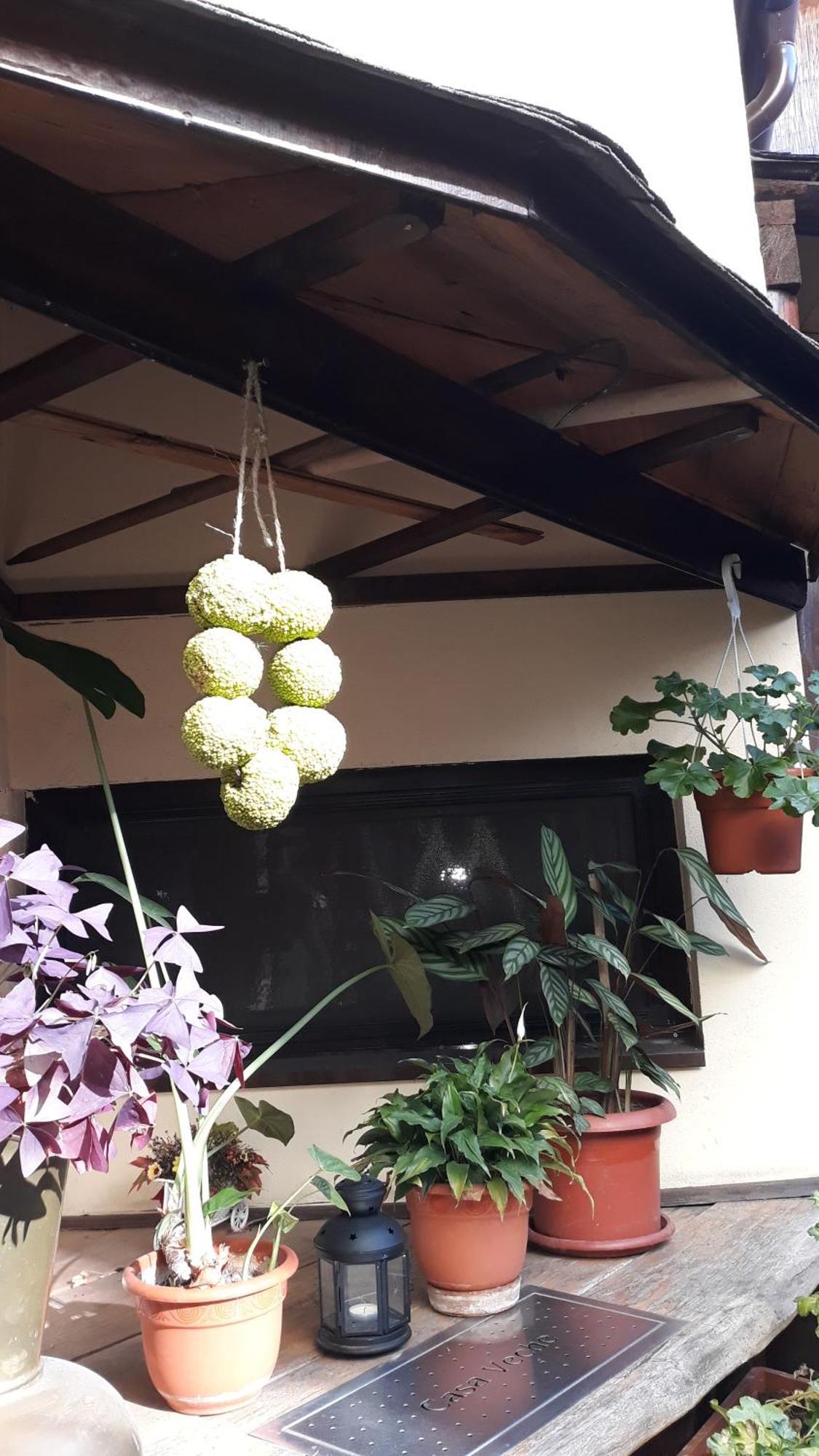 Casa Veche Hotel Sibiu Buitenkant foto